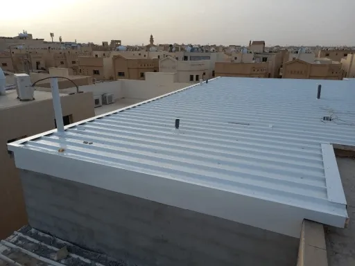 صورة المقالة